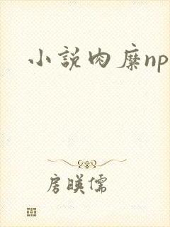 小说肉糜np