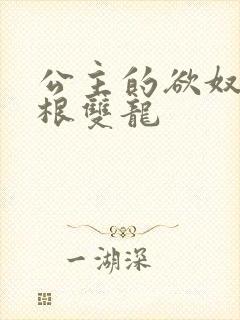 公主的欲奴h四根双龙