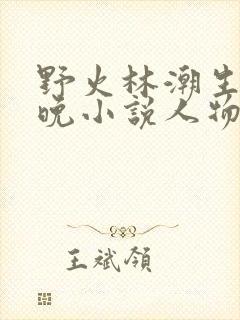 野火林潮生林晚晚小说人物野火封面