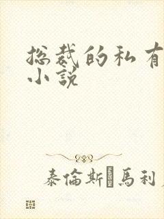 总裁的私有宝贝小说