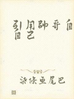 引用帅哥自己玩自己封面