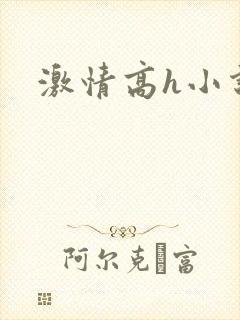 激情高h小说