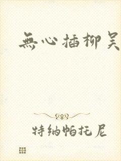 无心插柳吴悠封面