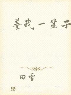 养我一辈子封面