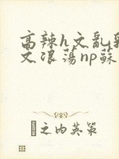 高辣h文乱乳h文浪荡np苏夏