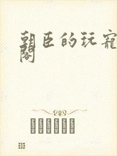 朝臣的玩宠笔趣阁