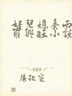 好儿媳秦雨罗明罗兴旺小说封面