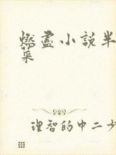 燃尽小说半截白菜封面