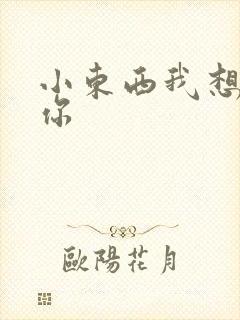 小东西我想弄坏你