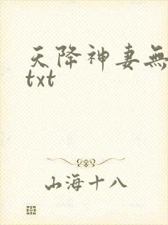 天降神妻无删减txt