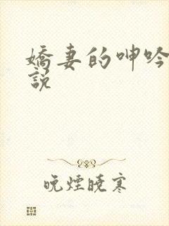 娇妻的呻吟 小说