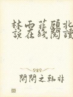 林雨菲顾北潇小说在线阅读