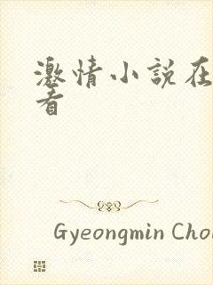 激情小说在线观看