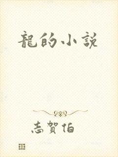 龙的小说