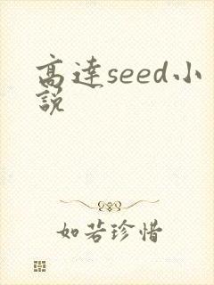 高达seed小说
