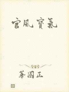 官风宝气封面