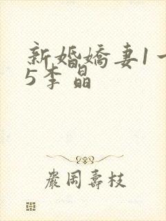 新婚娇妻1一25李晶封面