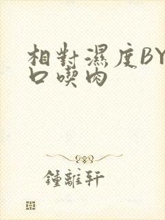 相对湿度BY大口吃肉