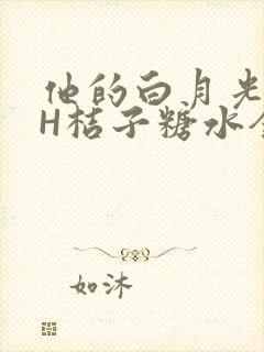 他的白月光HVH桔子糖水全文