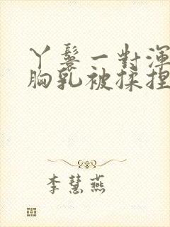 丫鬟一对浑圆的胸乳被揉捏