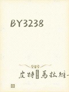 BY3238封面