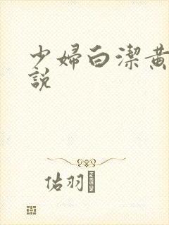 少妇白洁黄色小说封面