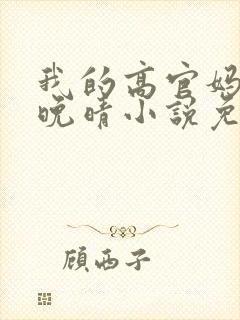 我的高官妈妈苏晚晴小说免费阅读