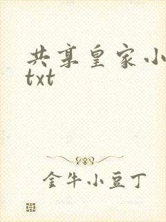共享皇家小公主txt