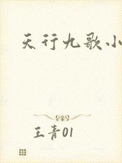 天行九歌小说封面