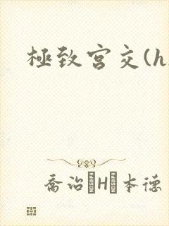 极致宫交(h)
