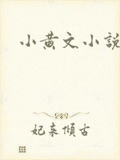 小黄文小说