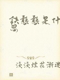 铁憨憨是什么意思封面