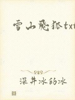 雪山飞狐txt