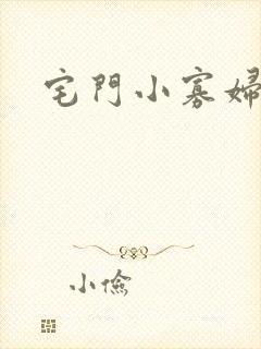 宅门小寡妇