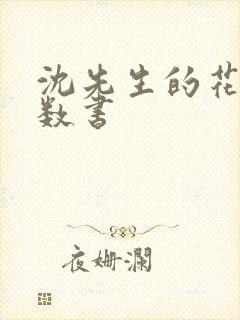 沈先生的花式调数书