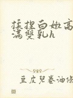 揉捏白嫩高耸饱满双乳h