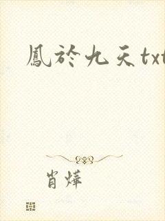 凤于九天txt封面