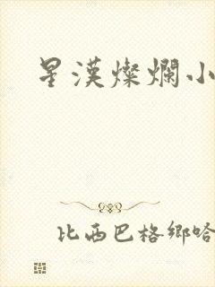 星汉灿烂小说