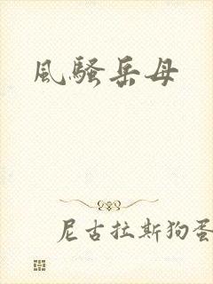 风骚岳母