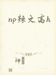 np辣文高h