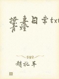 撩妻日常txt青灯