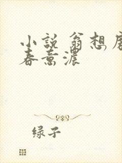 小说 翁想房中春意浓