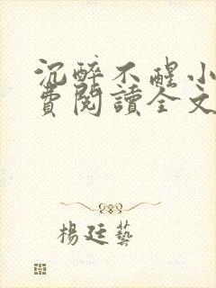 沉醉不醒小说免费阅读全文无弹窗