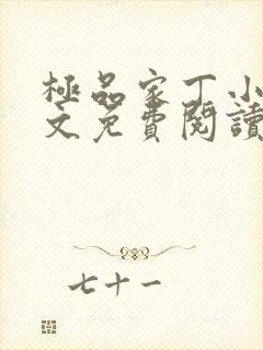 极品家丁小说全文免费阅读封面