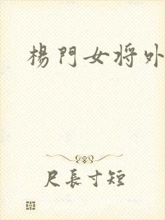 杨门女将外传