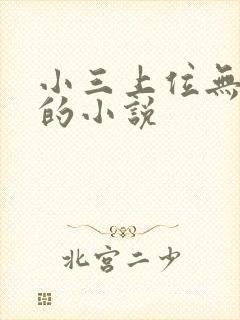 小三上位无三观的小说