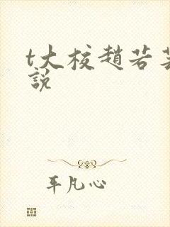 t大校赵若芸小说封面