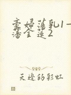 豪妇荡乳1—5藩金莲2封面
