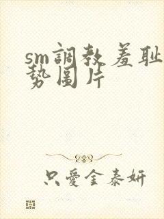 sm调教羞耻姿势图片