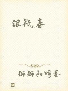 银瓶春封面